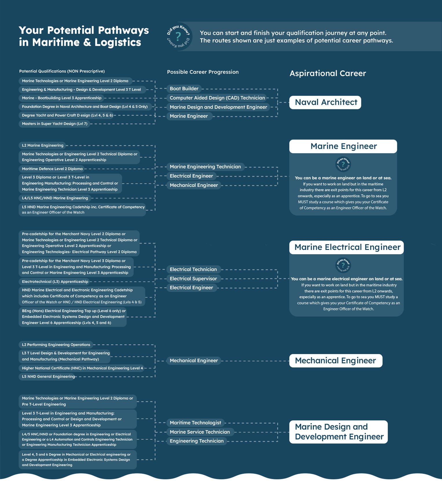 Your potential pathways in Maritime & Logistics