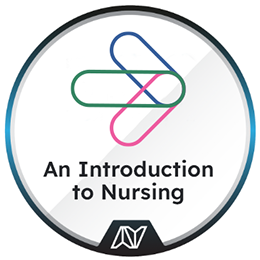 An Introduction to Nursing